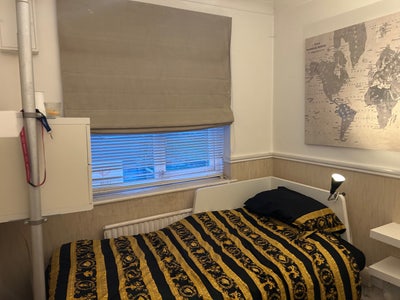 Single room, Luton Main Photo