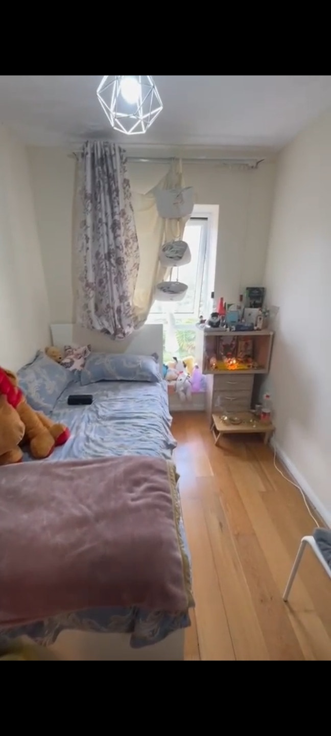 Looking for female flatmate  Main Photo