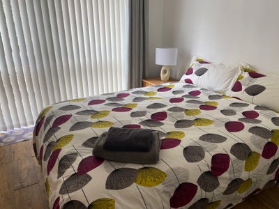 Professional House share in quite location Main Photo