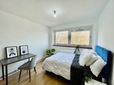 Bright Double En-suite near Tower Bridge Main Photo