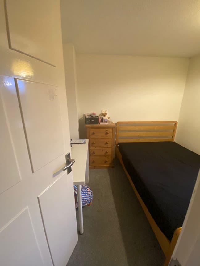 Student House- 1 double bedroom available Main Photo