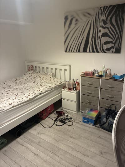 Central London flatshare!  Main Photo