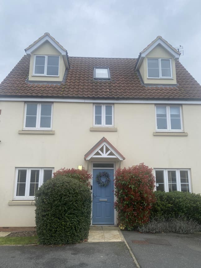 Looking for a female house mate Main Photo