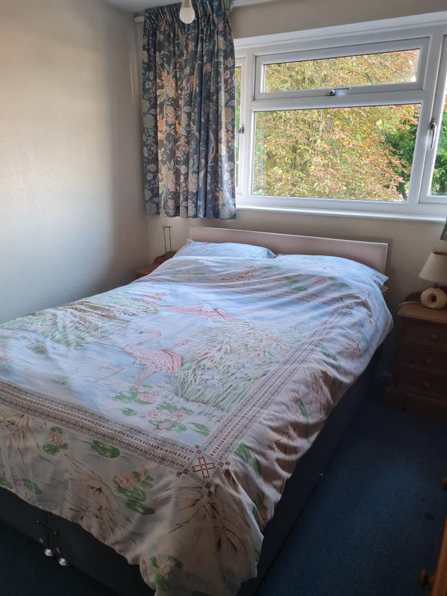 Double room to let for a single person Main Photo