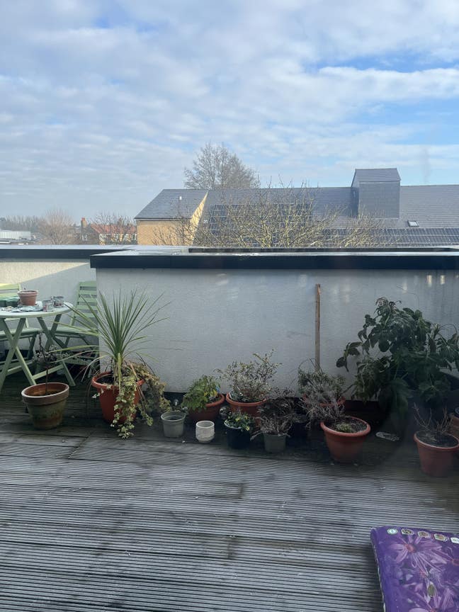 Looking for a lovely flatmate in Walthamstow  Main Photo