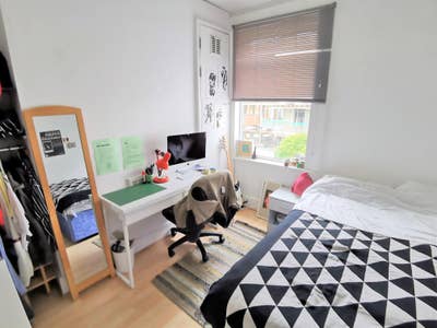 Double Room in Shared Student House Available July Main Photo