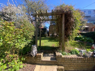 Bright Garden room flat Central London  Main Photo