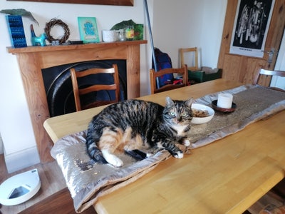 2 Rooms available in lovely home in Fishponds Main Photo