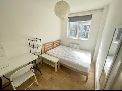 Double in a quiet veggie flat with a garden 🌸  Main Photo