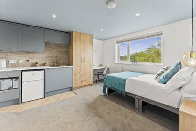 BIG Modern Studio | All Bills Included | PE2 Main Photo