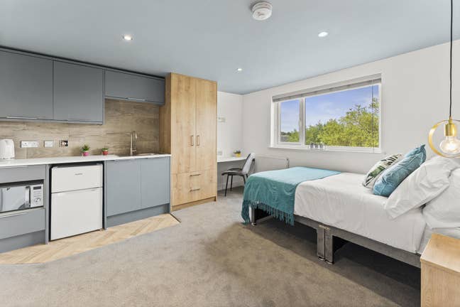 BIG Modern Studio | All Bills Included | PE2 Main Photo