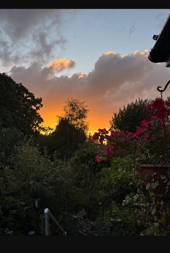  February  Main Photo