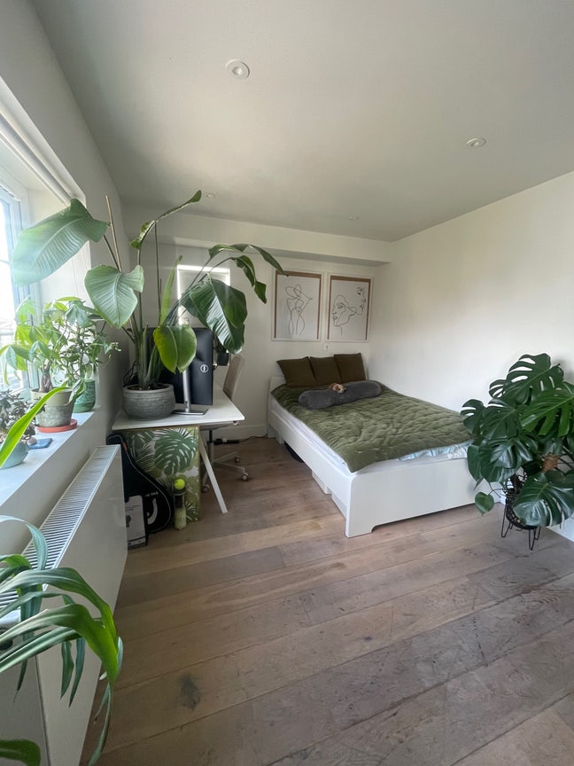 Bright Large Double Room in East Acton!  Main Photo