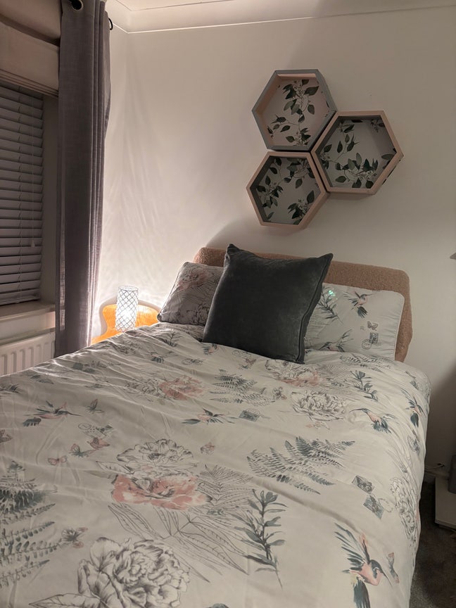 Bright & Cozy Very Large Room Main Photo