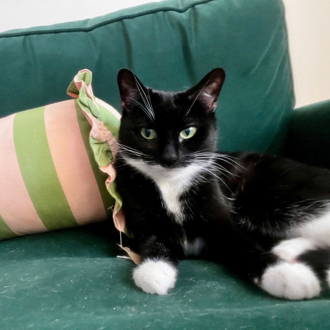 Light sunny room St Stephen’s Main Photo