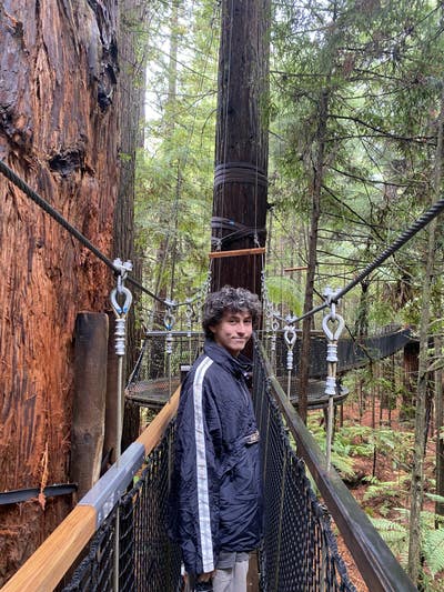 Moving from New Zealand to Bristol Main Photo