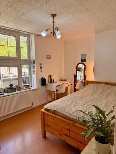 Two lovely Rooms Available for May 1st!  Main Photo