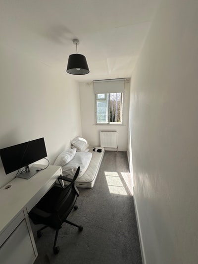 Room to share  Main Photo