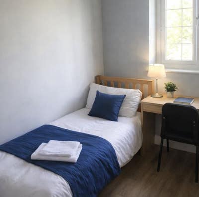 Clean Single Room for Rent- Bills Included Main Photo