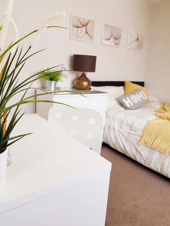 It's a New Dawn, New Day, New Life for You 🎶🌄 
 Main Photo