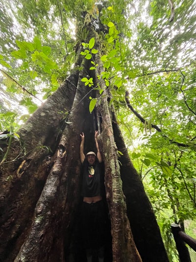 House share in St Paul’s/Montpellier Main Photo