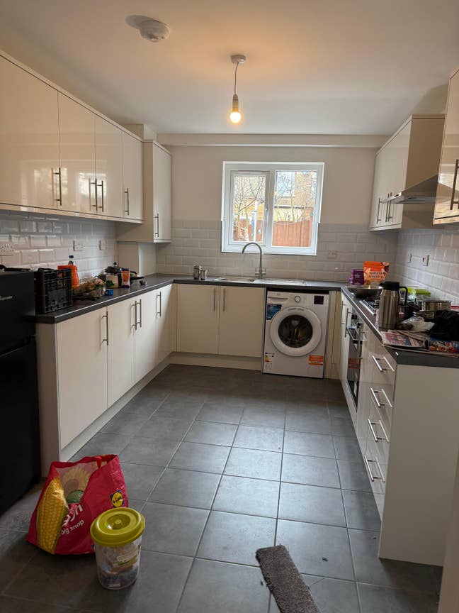 Double room available-vegetarian/vegan preferred  Main Photo