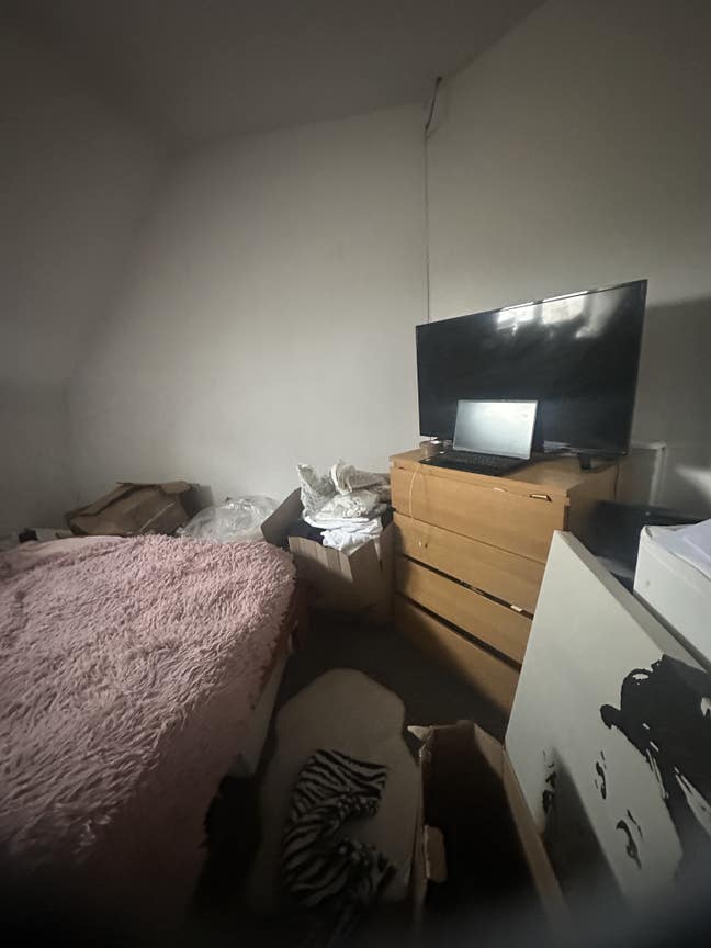 Lovely room in Pitshanger Lane  Main Photo