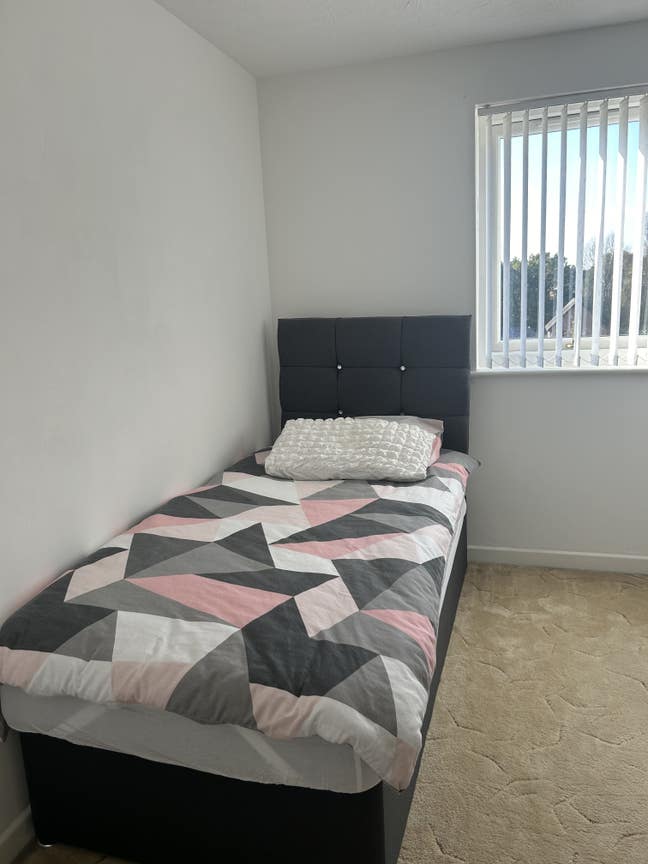 Single Blight Room Available. Main Photo