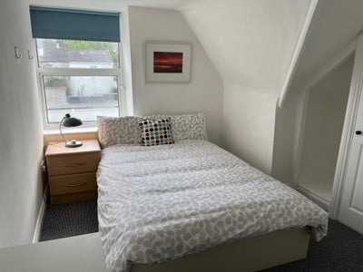 Room in a Shared House, Belgrave Road, TQ2 Main Photo