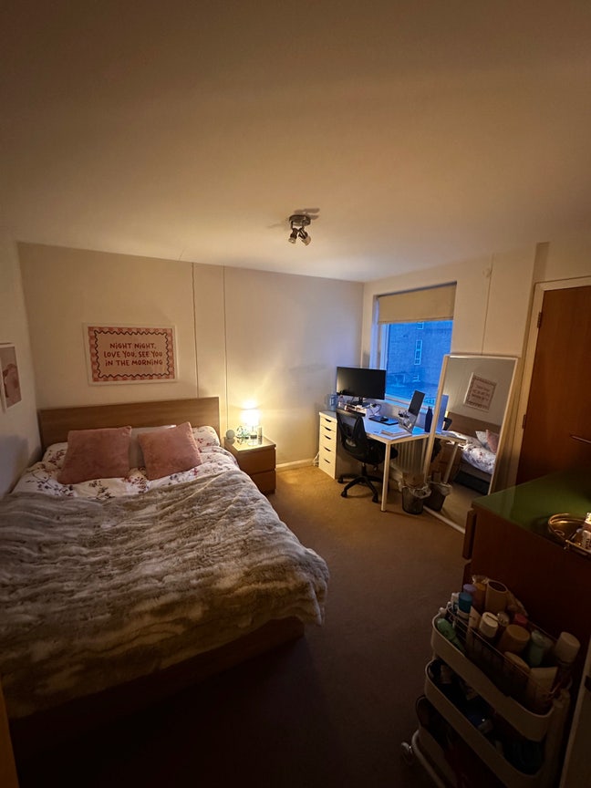 Room available in cozy Balham flat  Main Photo