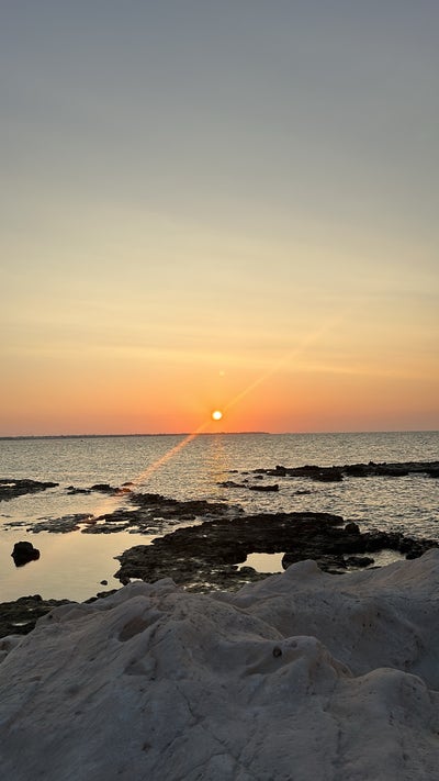 2 year renting, female, optometrist,prefer ensuite Main Photo