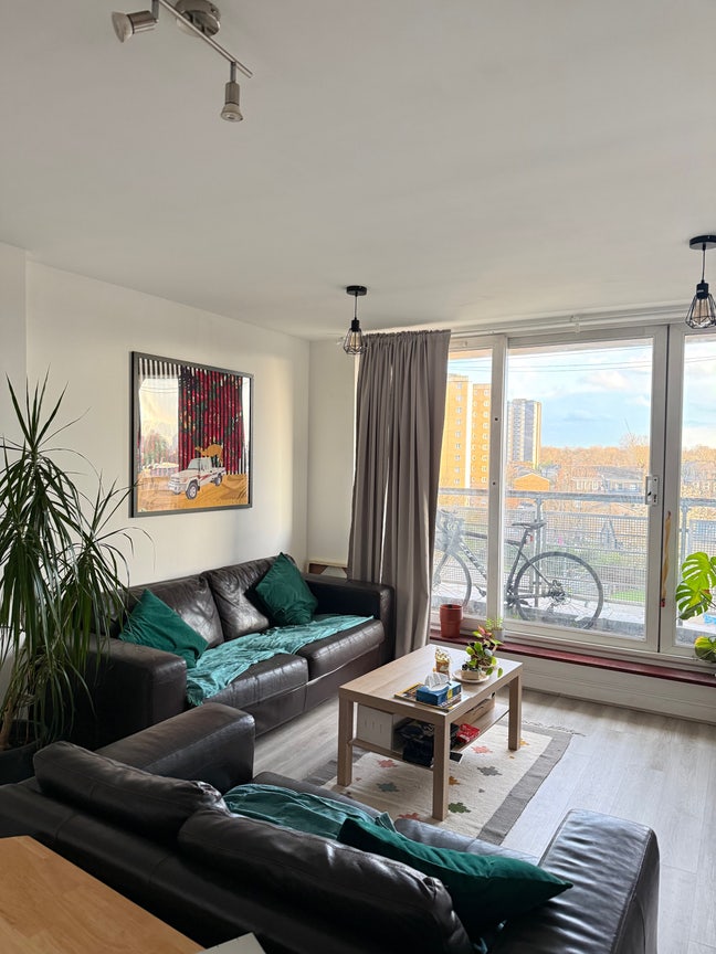 Looking for housemate at existing rental  Main Photo