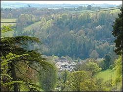 Super Single Room Main Photo