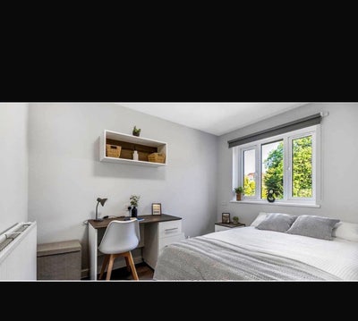 Replacement  Main Photo