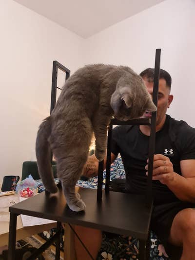 Professional Male seeks a double room Main Photo