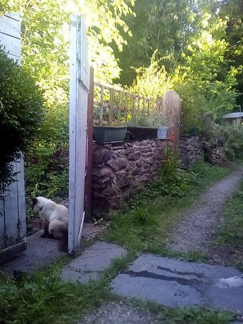 Cottage lodgings Main Photo