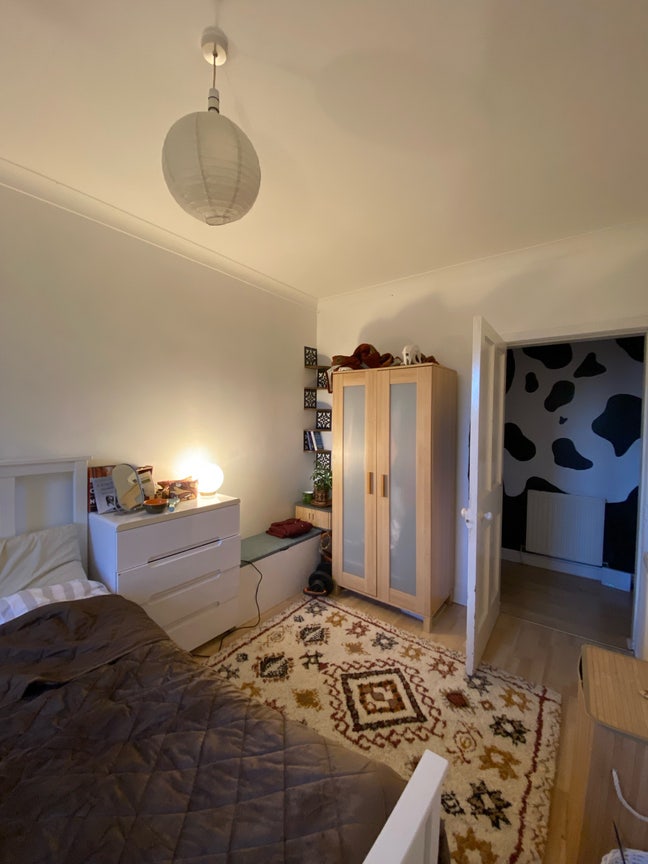 Bright, Cozy room by Balgay park Main Photo