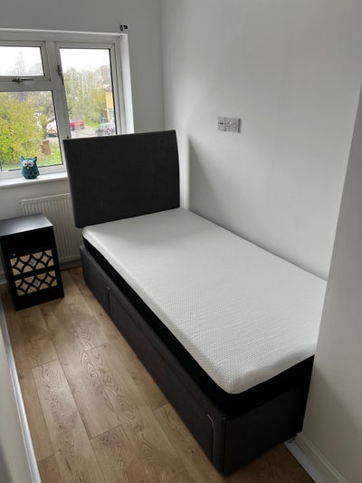 Single Room available for Student/ Professional  Main Photo