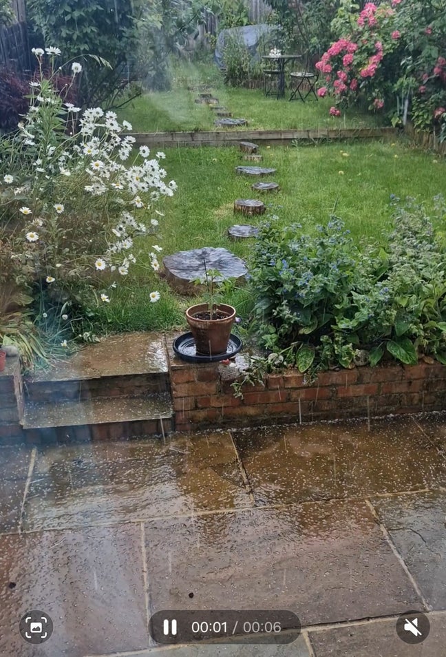 SHORT TERM Single Room with Garden View Main Photo