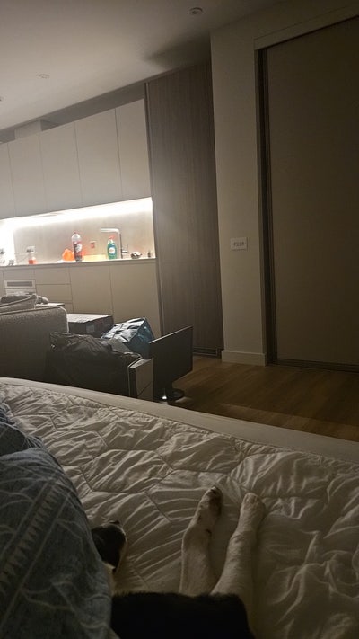 Studio flat to share Main Photo