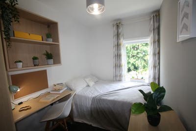 Student Room available to rent in Chester near uni Main Photo