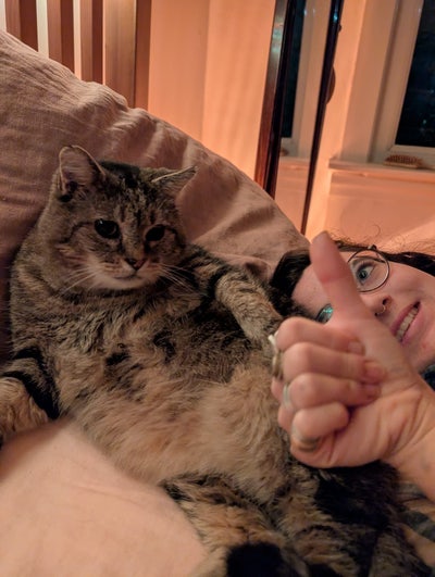 Looking for a room for me and my cat Kevin!  Main Photo