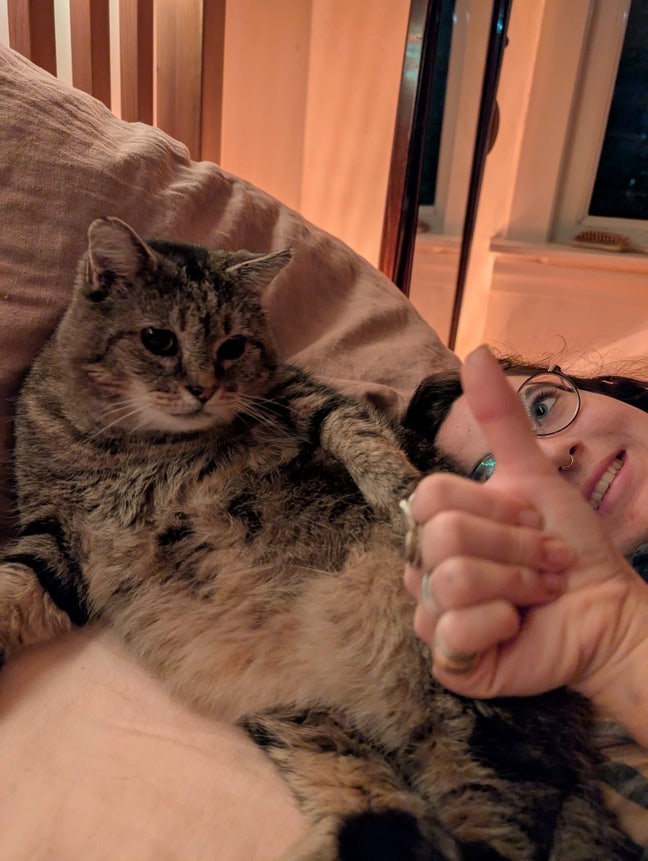 Looking for a room for me and my cat Kevin!  Main Photo