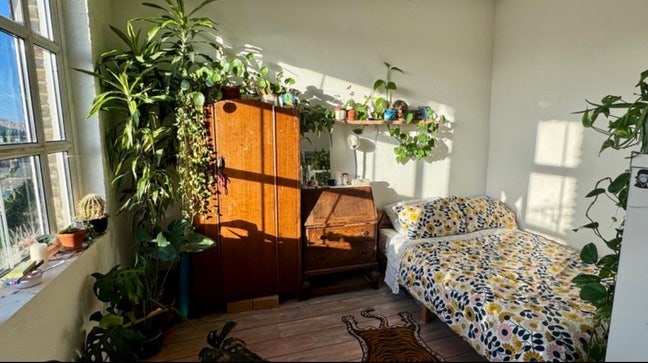 Beautiful double room in Stoke Newington looking f Main Photo