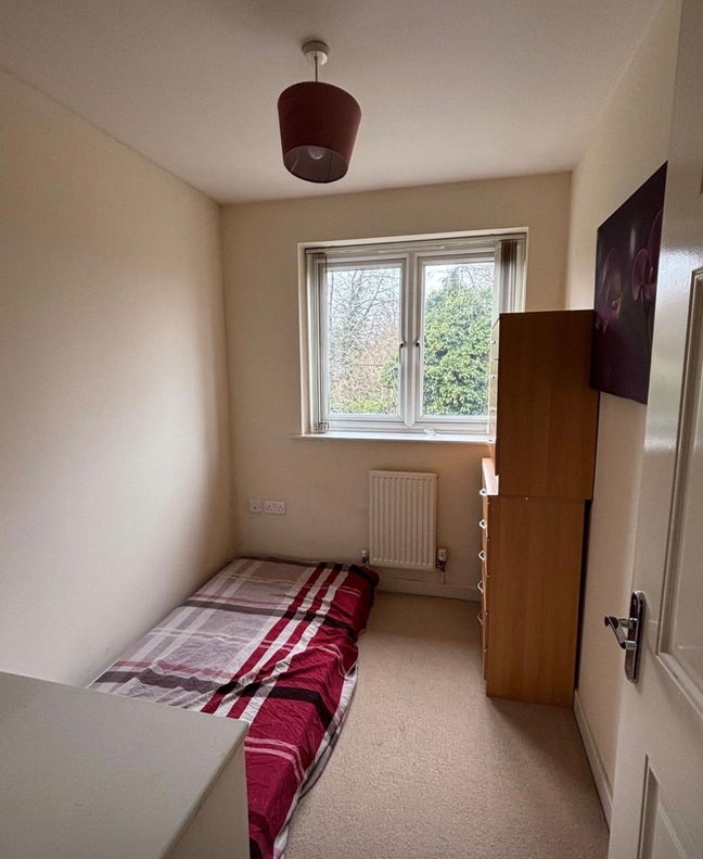 Clean Single Room in Quiet Friendly Home Main Photo