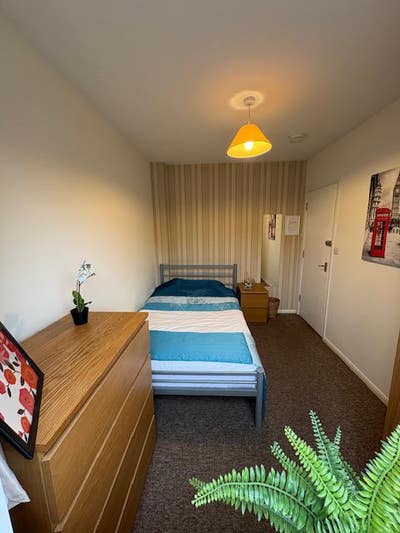 Lovely clean room in stunning house share Main Photo
