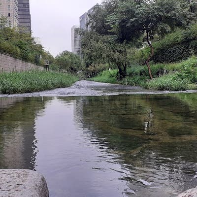 Student Male seeks a double room Main Photo