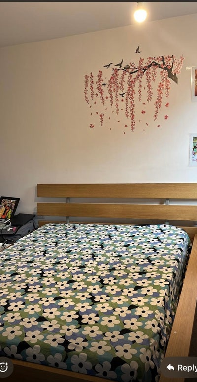 Ensuite room for female Main Photo