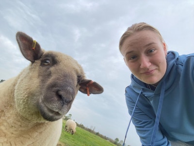 Hello! I’m a very clean and organised perso... Main Photo