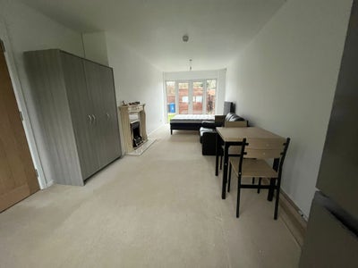 Newly refurbished bright and spacious house Main Photo